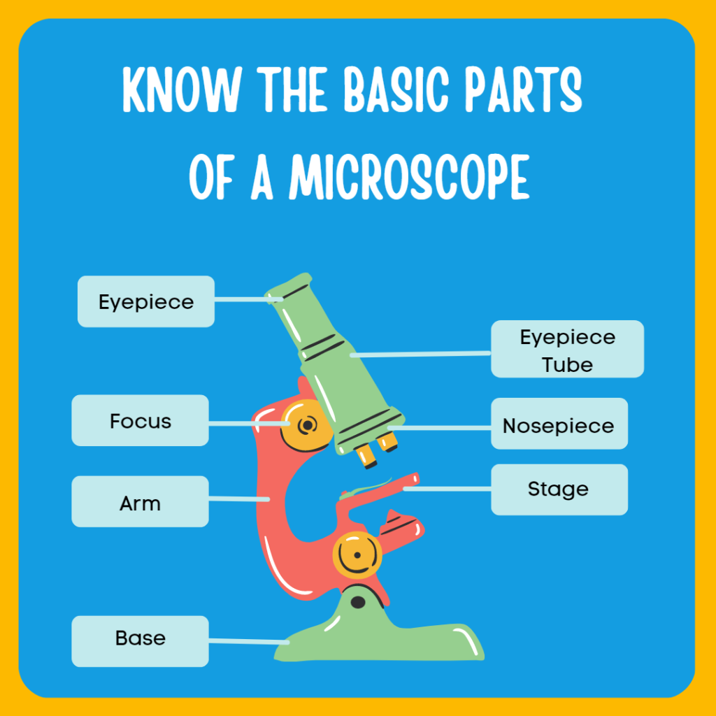 parts of a microscope